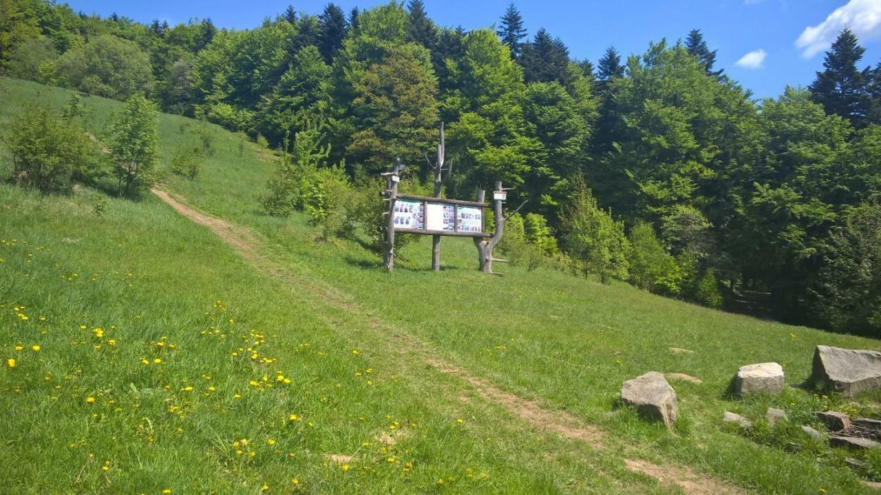 Отель Pod Kamiennikiem Trzemesnia Экстерьер фото